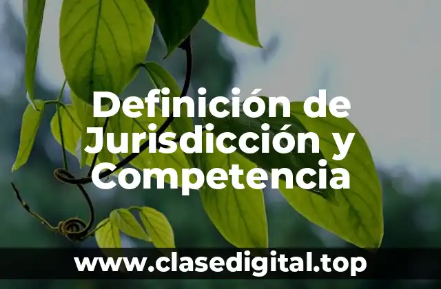 Definición técnica de Jurisdicción