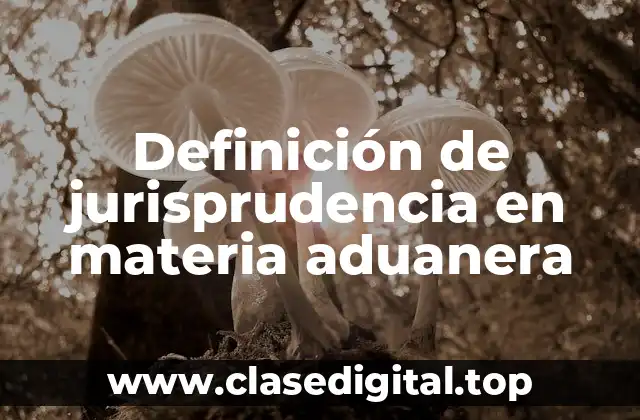 Ejemplos de jurisprudencia en materia aduanera