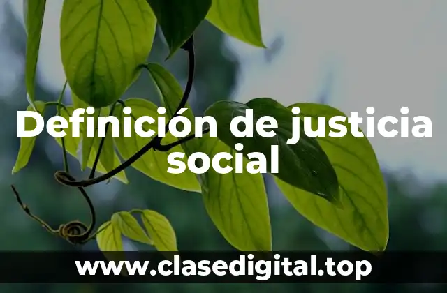 Ejemplos de justicia social