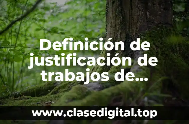 Definición de justificación de trabajos de investigación