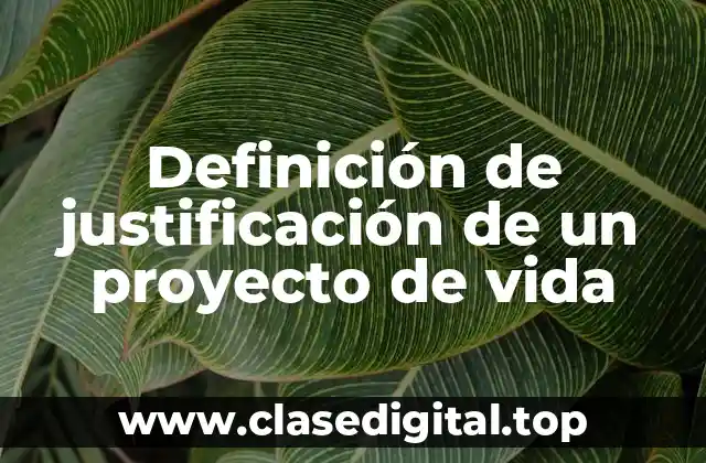 Definición de justificación de un proyecto de vida