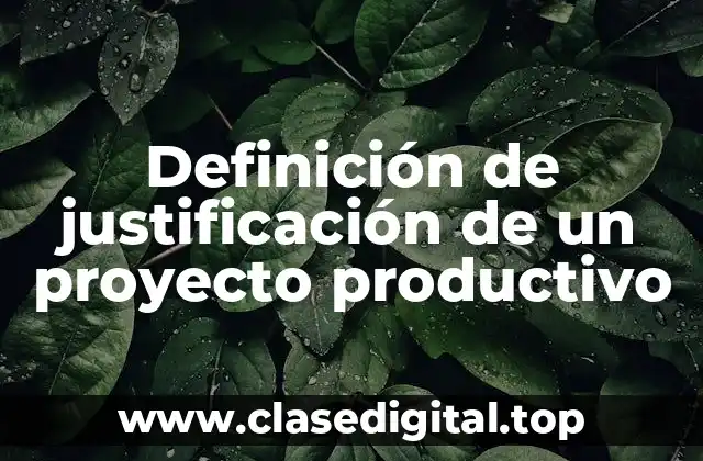 Definición de justificación de un proyecto productivo