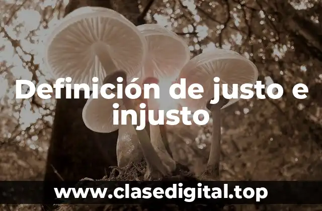 Definición de justo e injusto