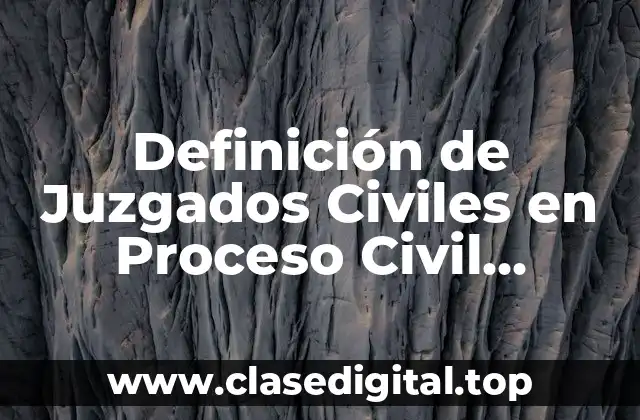 Definición de Juzgados Civiles en Proceso Civil Mexicano