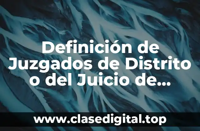 Definición técnica de Juzgado de Distrito o del Juicio de Amparo