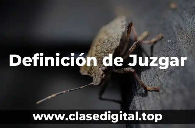 Definición de Juzgar