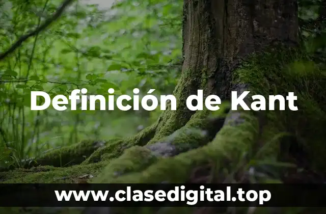 Definición de Kant