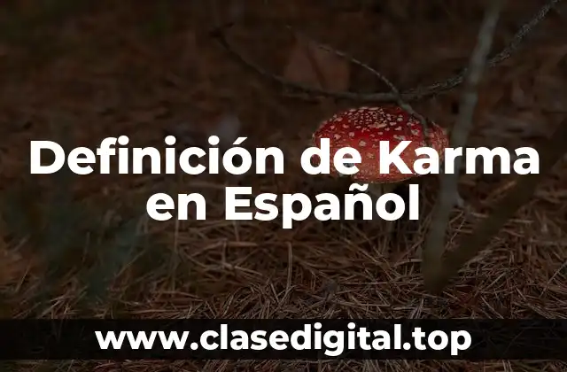 Definición de Karma en Español