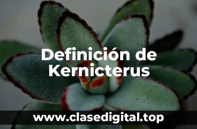 Definición de Kernicterus
