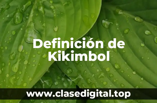Definición de Kikimbol
