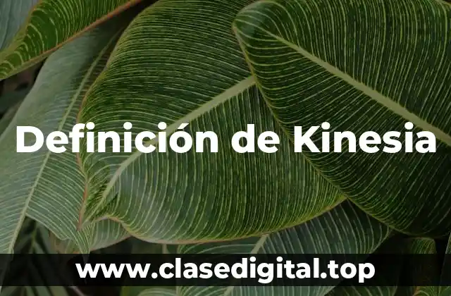 Definición técnica de Kinesia