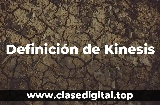 Definición de Kinesis