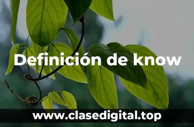 Definición técnica de know-how