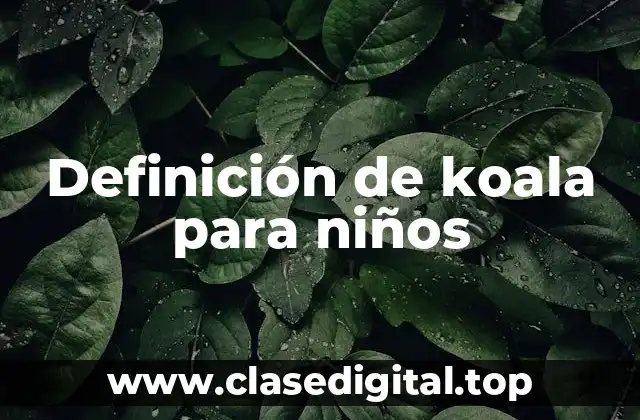 Definición de koala para niños