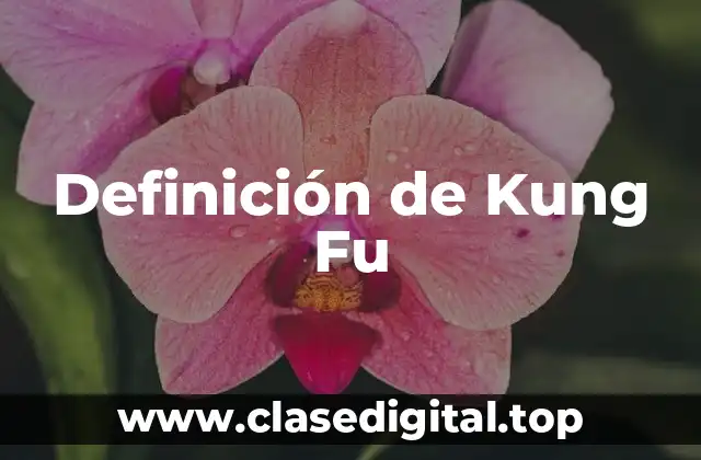 Definición de Kung Fu