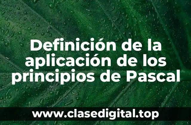 Definición de la aplicación de los principios de Pascal