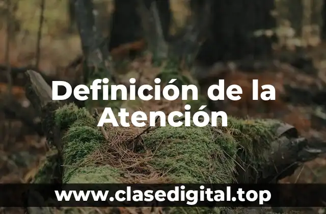 Definición de la Atención
