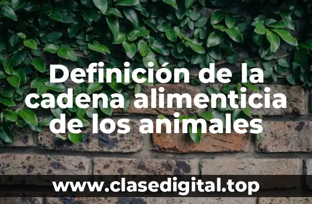 Definición de la cadena alimenticia de los animales