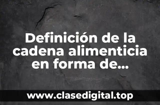 Ejemplos de la cadena alimenticia en forma de pirámide