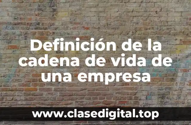 Definición de la cadena de vida de una empresa