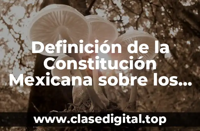 Definición de la Constitución Mexicana sobre los derechos civiles
