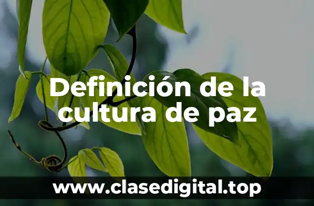 Definición de la cultura de paz