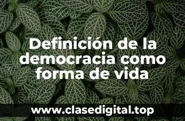 Ejemplos de la democracia como forma de vida