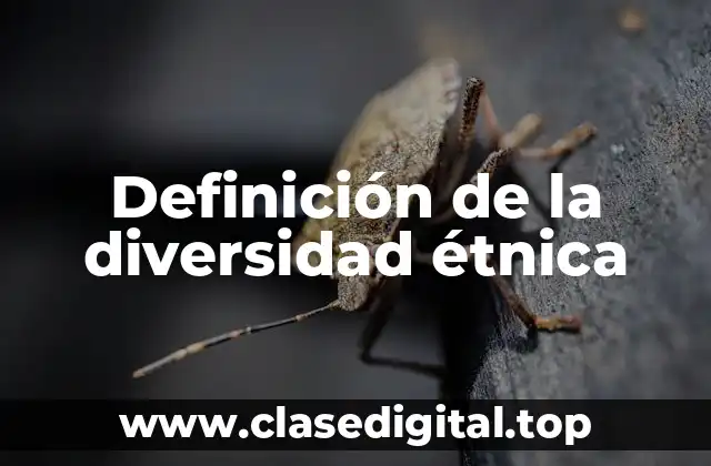 Definición de la diversidad étnica