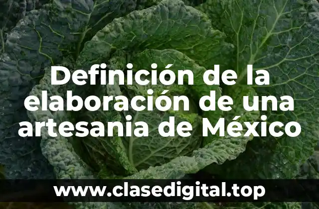 Definición de la elaboración de una artesania de México
