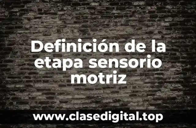 Ejemplos de la etapa sensorio motriz