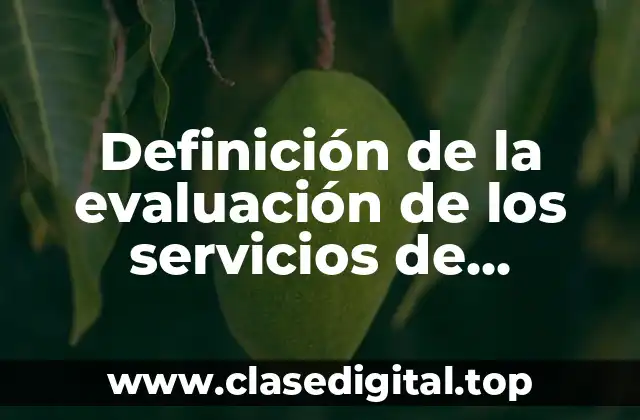 Definición de la evaluación de los servicios de enfermería