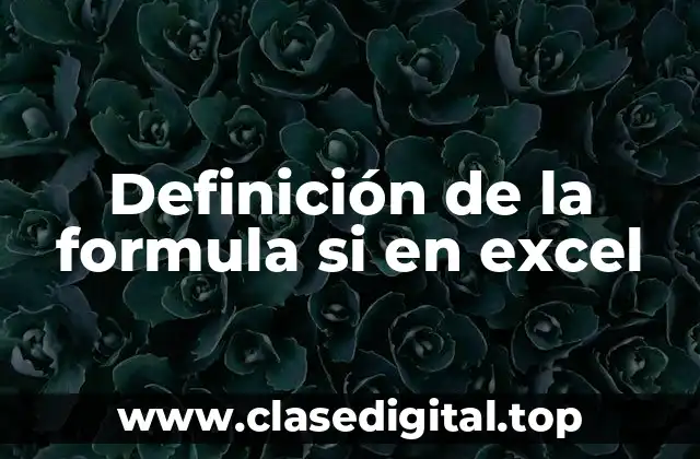 Definición de la formula si en excel