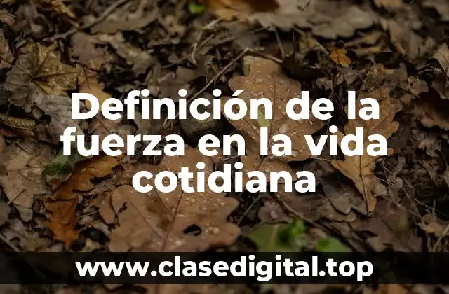 Definición de la fuerza en la vida cotidiana