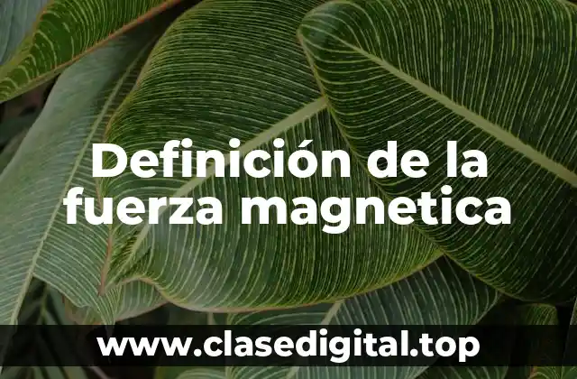 Definición de la fuerza magnetica