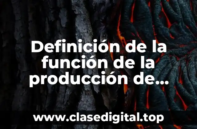 Definición de la función de la producción de equilibrio