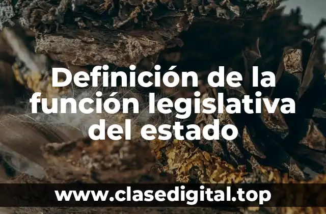 Definición de la función legislativa del estado
