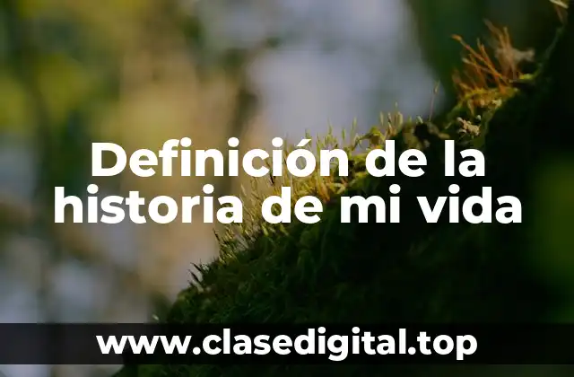 Definición de la historia de mi vida