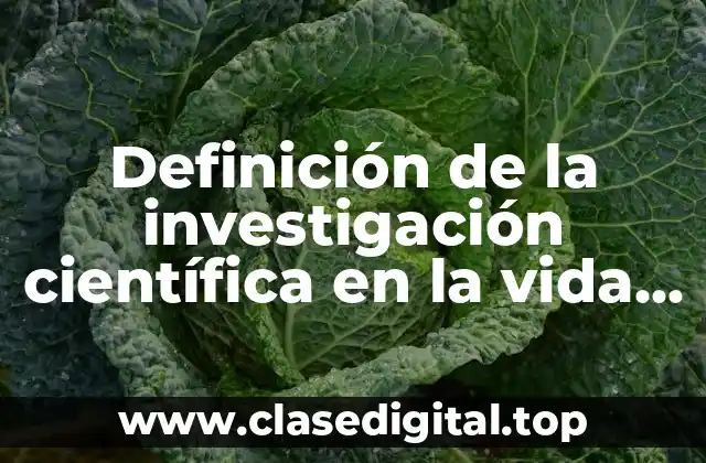 Definición de la investigación científica en la vida cotidiana