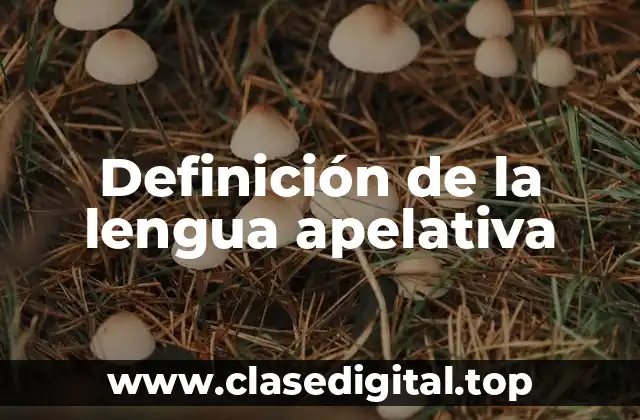 Definición de la lengua apelativa