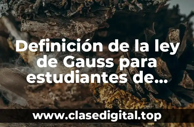 Ejemplos de la ley de Gauss