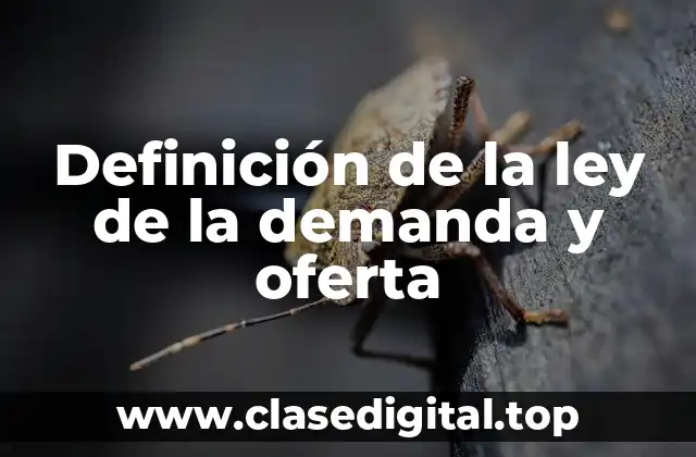 Definición de la ley de la demanda y oferta