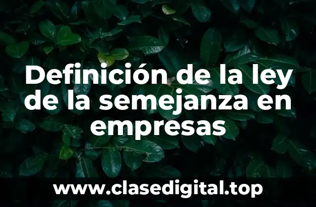 Definición de la ley de la semejanza en empresas