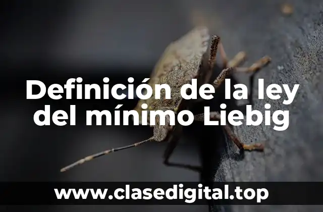 Definición de la ley del mínimo Liebig