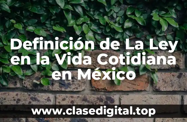 Definición de La Ley en la Vida Cotidiana en México