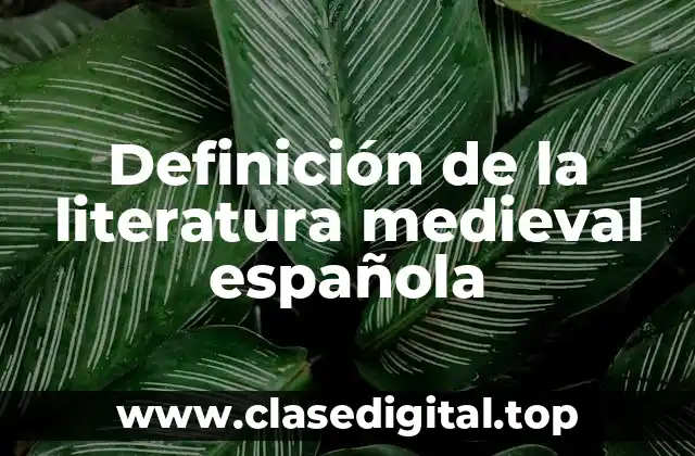 Definición de la literatura medieval española