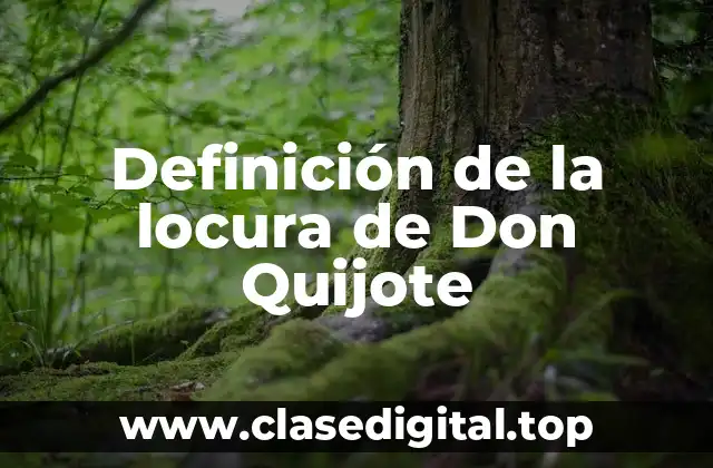 Definición de la locura de Don Quijote