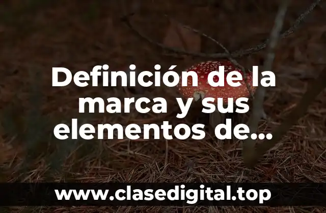 Definición de la marca y sus elementos de shapoo