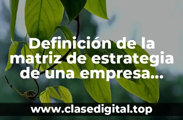 Definición de la matriz de estrategia de una empresa mueblera