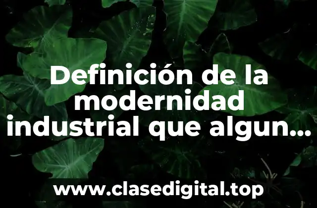 Definición de la modernidad industrial que algun riesgo social