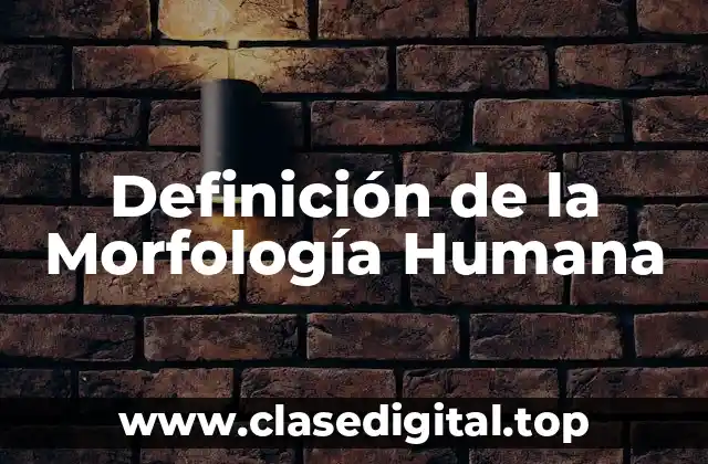Definición de la Morfología Humana